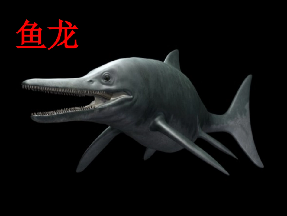 《恐龙》课件_第3页