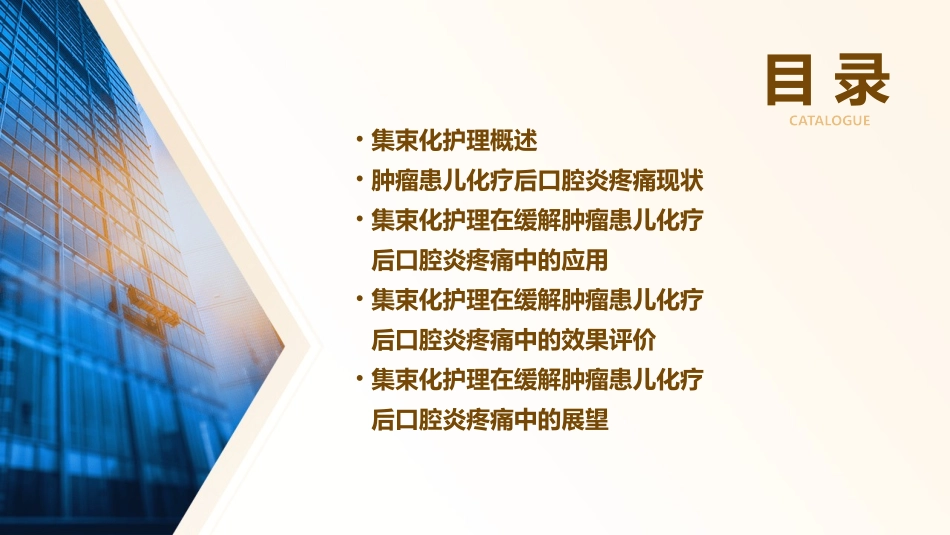 集束化在缓解肿瘤患儿化疗后口腔炎疼痛中应用护理课件_第2页