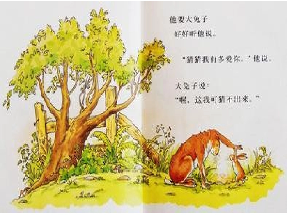 猜猜我有多爱你_第3页