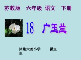 《广玉兰》教学课件
