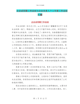 企业试用期工作总结与企业负责人个人年度工作总结汇编