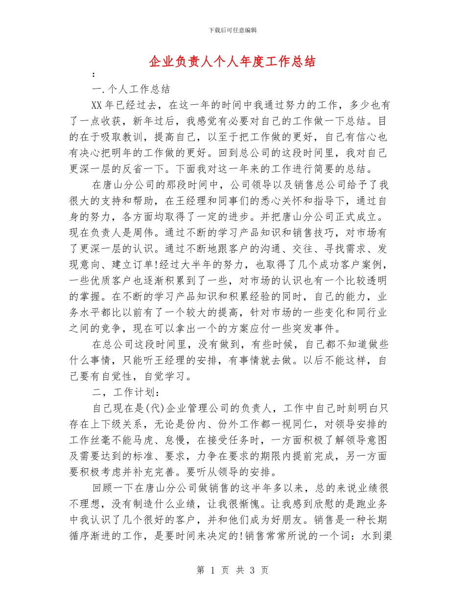 企业负责人个人年度工作总结_第1页