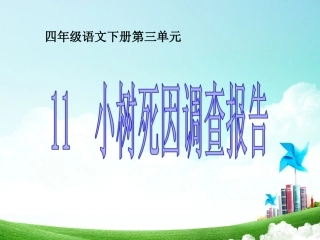 11小树死因调查报告