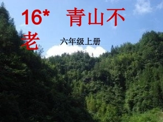 16青山不老课件