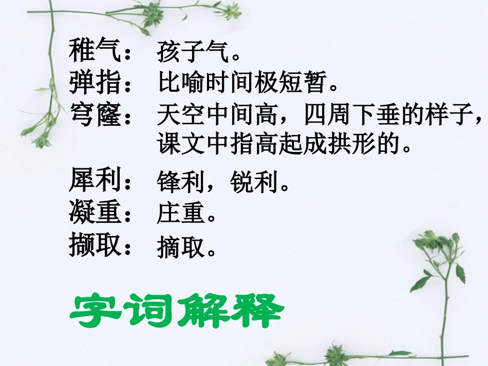 《十三岁的际遇》字词解释_第1页