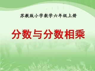 4、分数与分数相乘-(3)