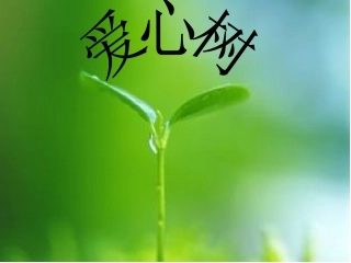 爱心树PPT演示文稿