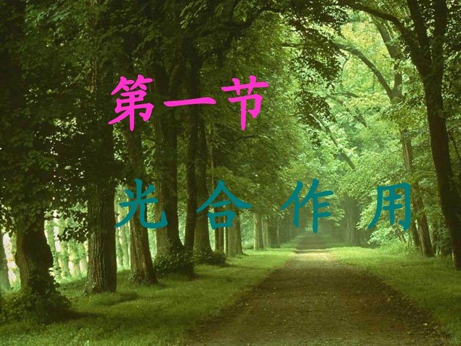 有机物从哪里来_第1页