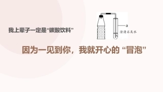 第三节大自然中的二氧化碳-(2)