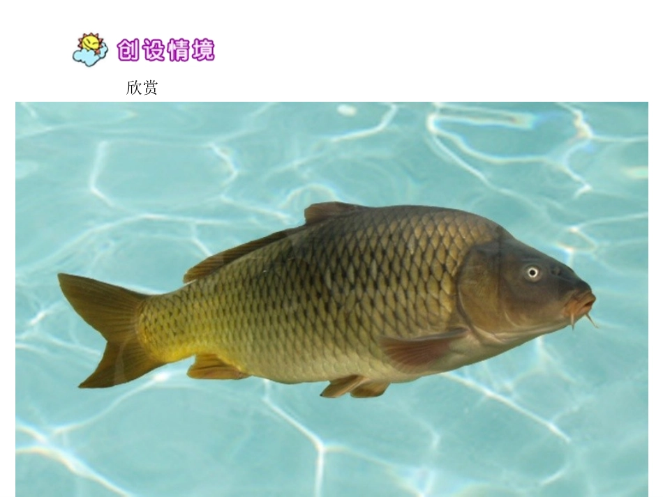 10公仪休拒收礼物-(2)_第3页