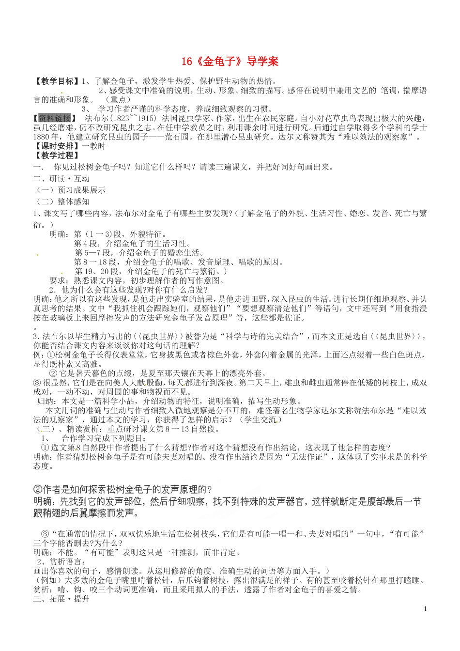 16金龟子》教案苏教版_第1页
