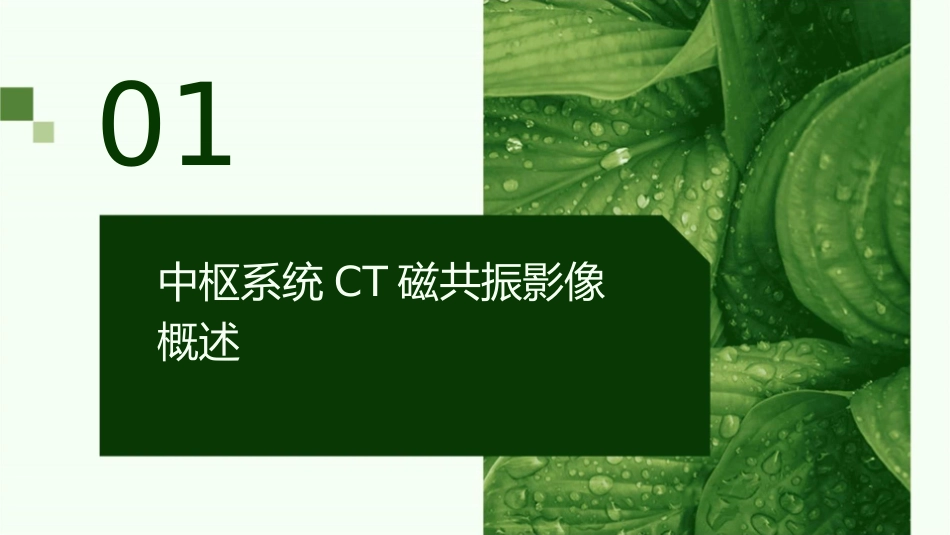 中枢系统CT磁共振影像表现图护理课件1_第3页