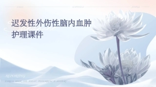 迟发性外伤性脑内血肿护理课件