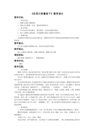 《在烈日和暴雨下》教学设计2