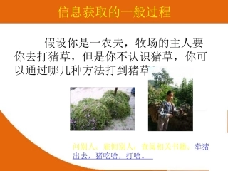第三课信息获取的一般过程