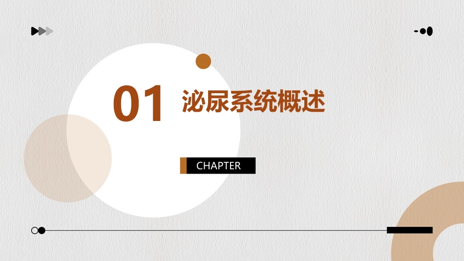 泌尿系统上课课件_第3页