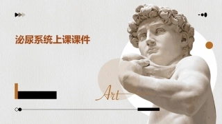 泌尿系统上课课件