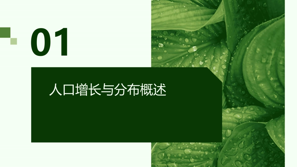 人口的增长分布和迁移详解课件_第3页
