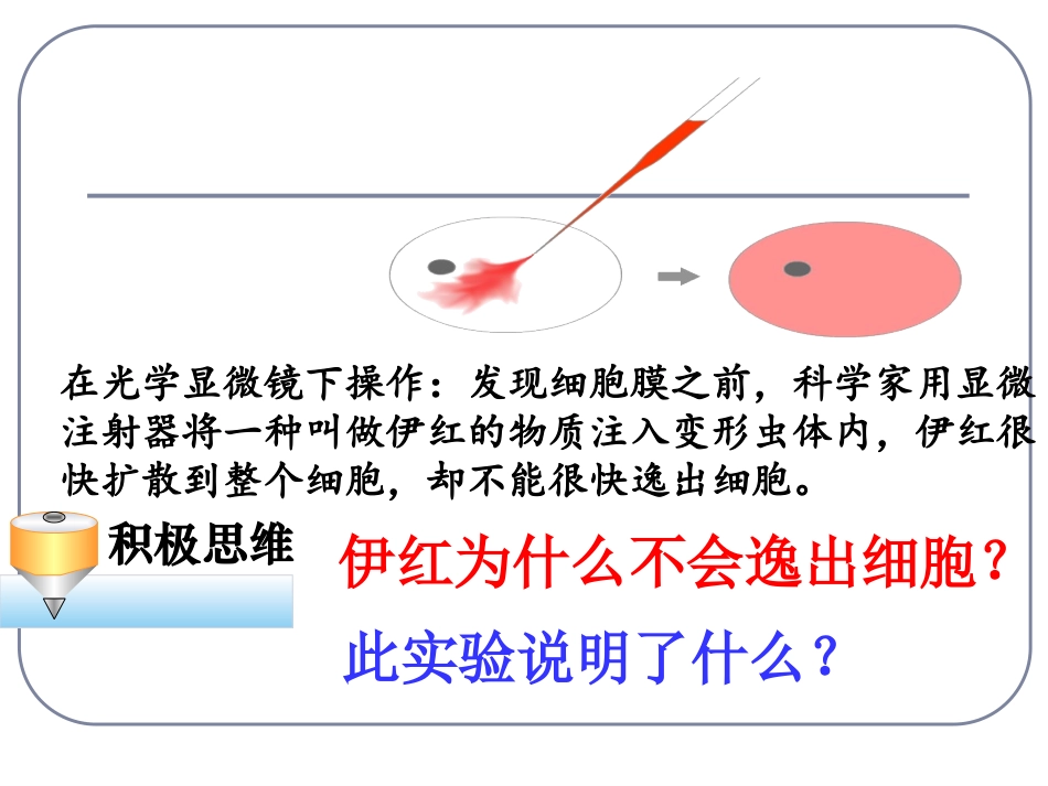 细胞膜和细胞壁_第2页