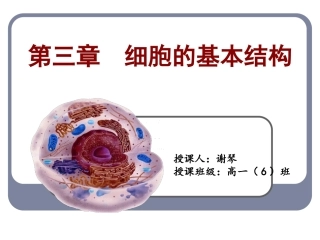 细胞膜和细胞壁
