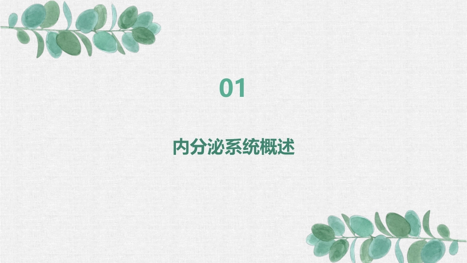 健康评估之内分泌系统护理课件 (2)_第3页