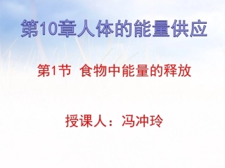 第1节食物中能量的释放