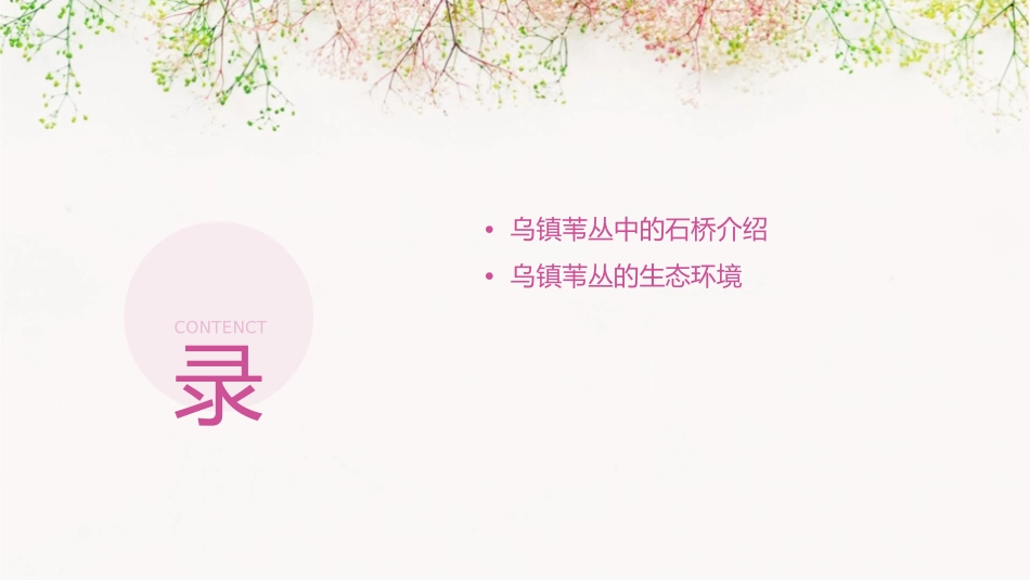 乌镇苇丛中的石桥课件1_第2页