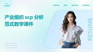 产业组织SCP分析范式教学课件
