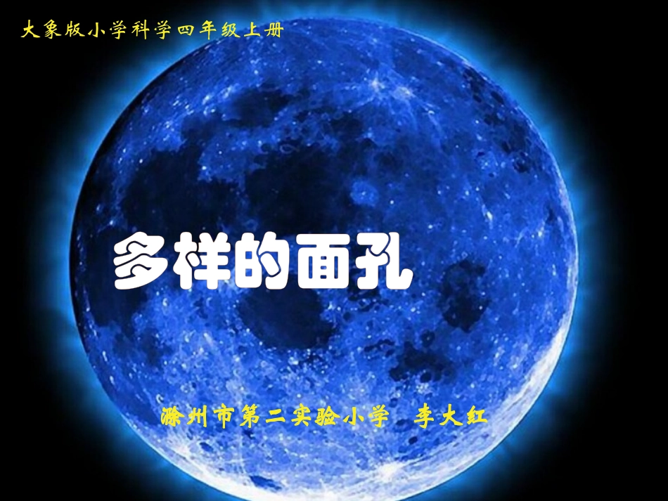 2.多样的面孔_第1页