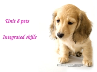 7BUnit8petsIntegratedskills课件(共28张PPT)