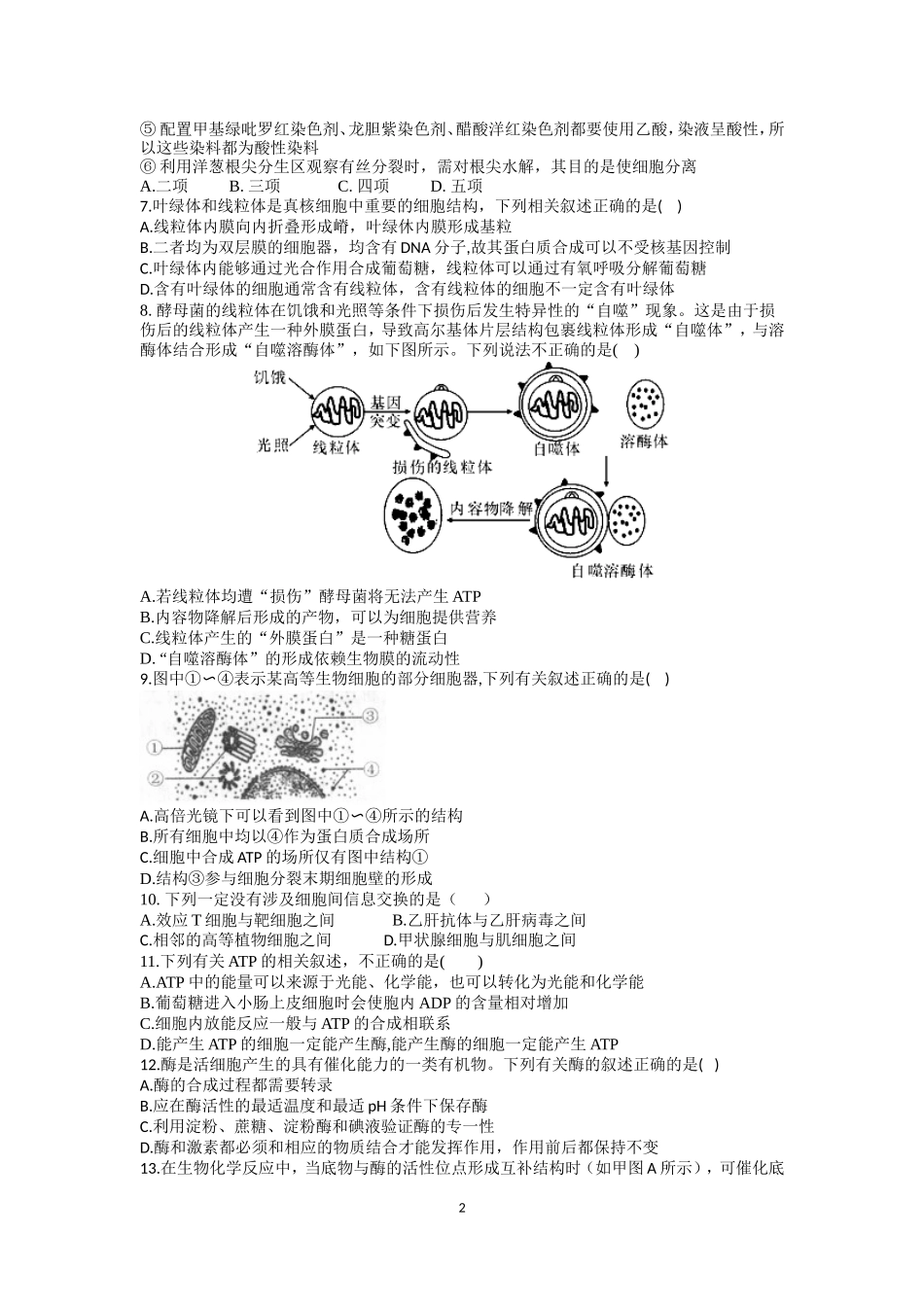 2018届临湘市一中第二次月考_第2页