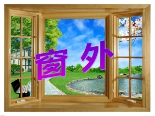 第四版块《窗外》