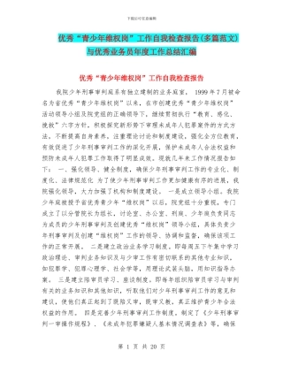 优秀“青少年维权岗”工作自我检查报告与优秀业务员年度工作总结汇编