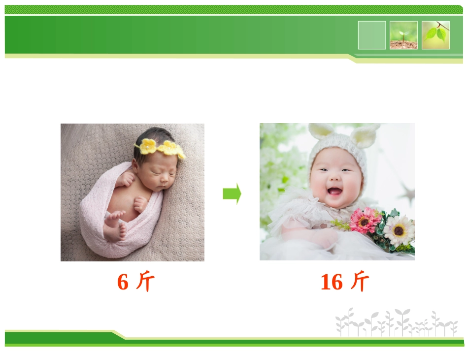 脂肪、蛋白质_第1页