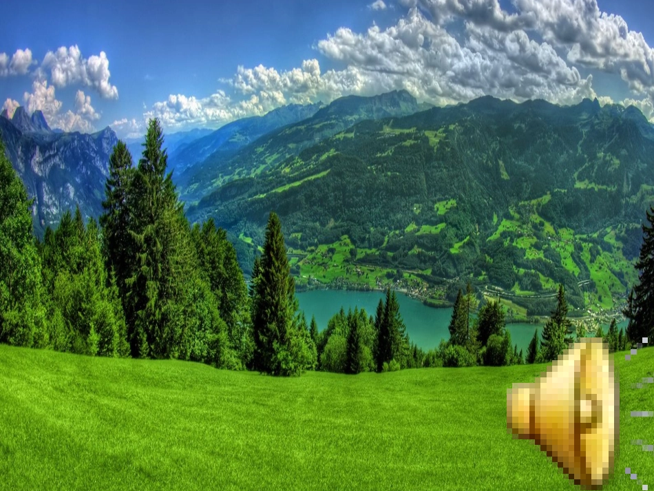 第1节绿色植物在生物圈中的作用_第1页