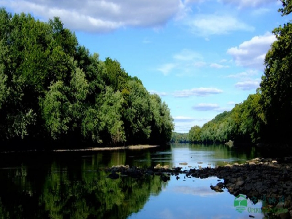 第1节绿色植物在生物圈中的作用_第2页