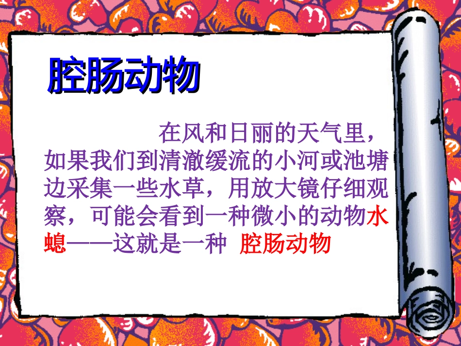 4.2第二节腔肠动物和扁形动物_第3页