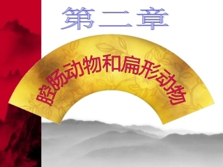 4.2第二节腔肠动物和扁形动物