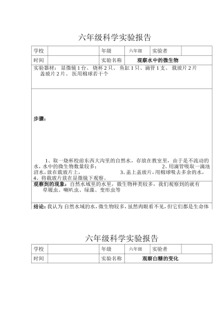 六年级科学实验报告