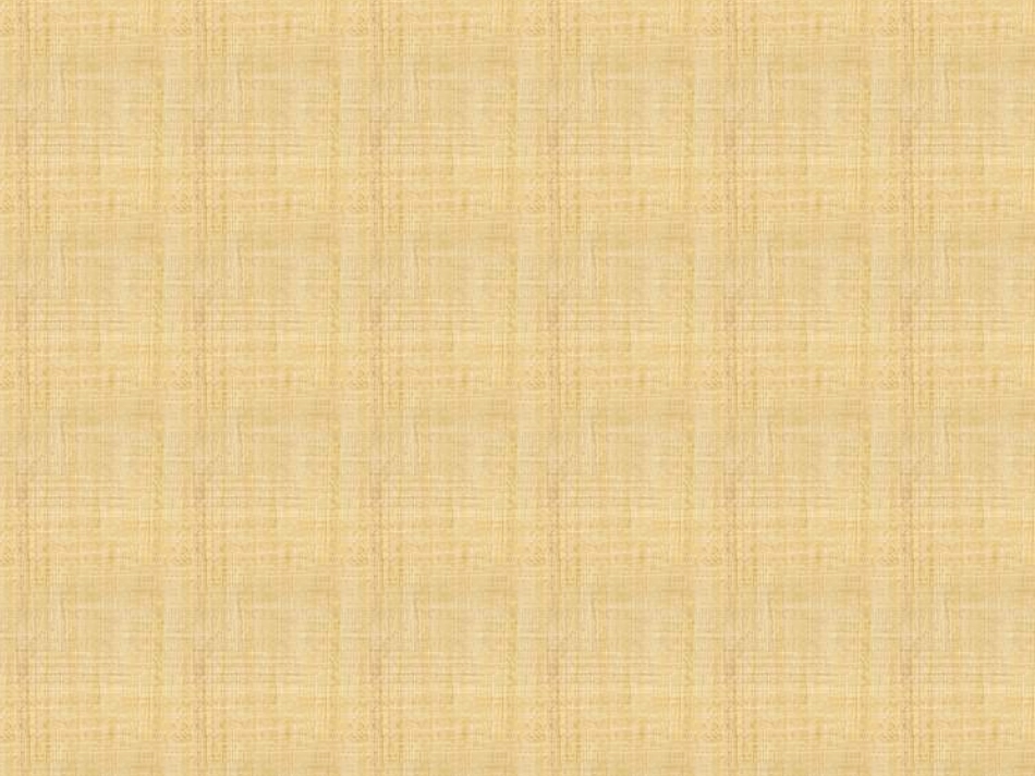 2.郑成功1_第1页