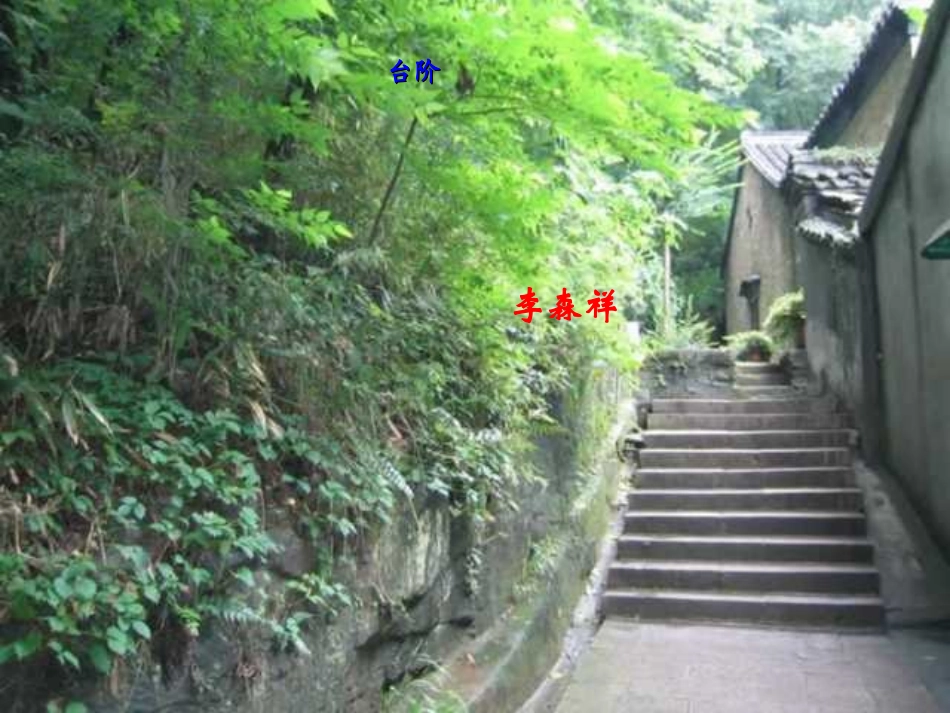 (部编)初中语文人教2011课标版七年级下册11、台阶-(3)_第2页