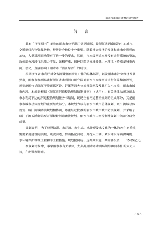 丽水本级河道整治规划报告