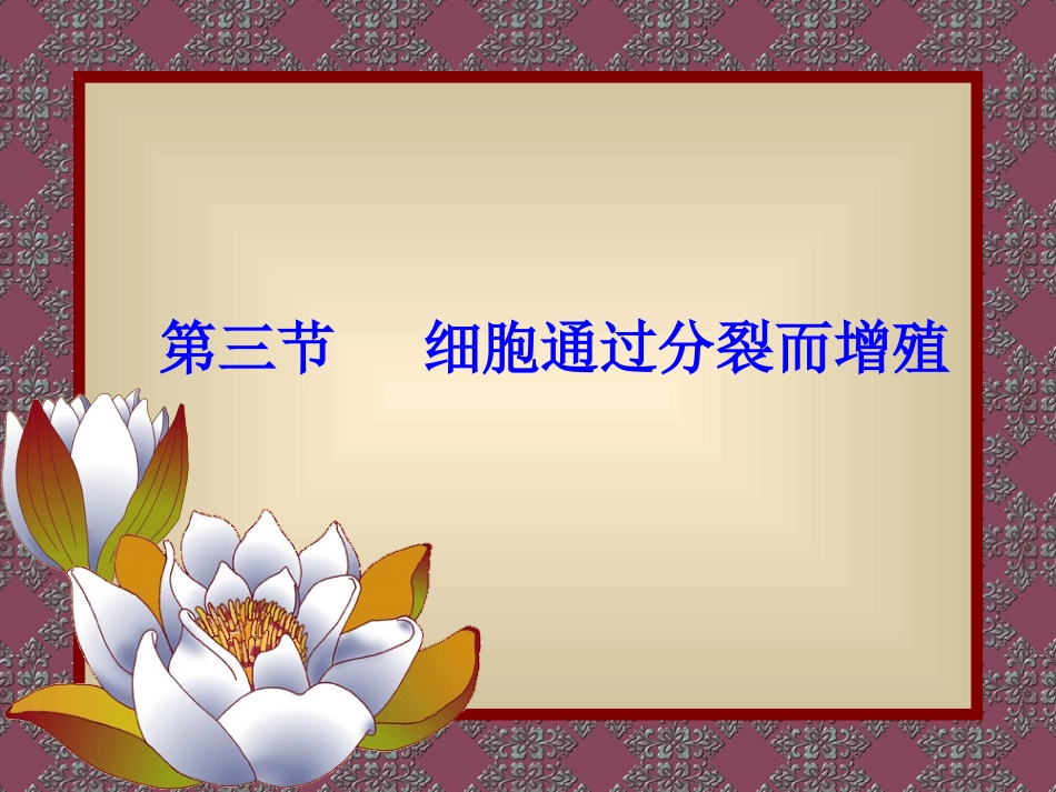 七年级生物上册细胞通过分裂而增殖4ppt_第1页