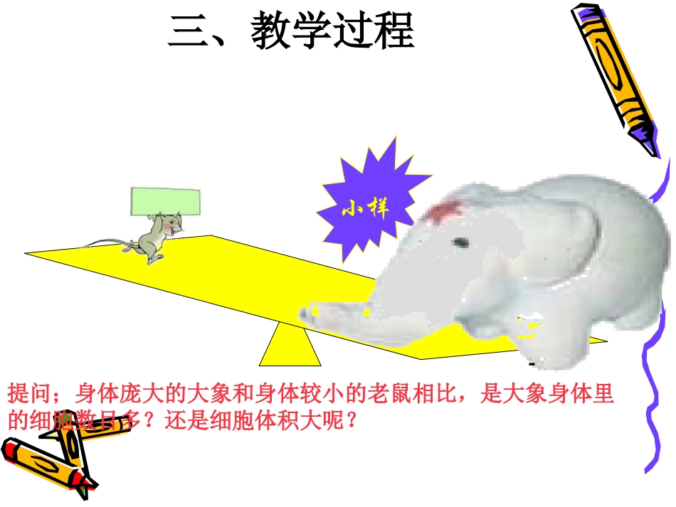 七年级生物上册细胞通过分裂而增殖4ppt_第2页
