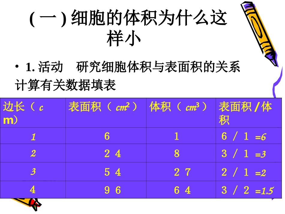 七年级生物上册细胞通过分裂而增殖4ppt_第3页