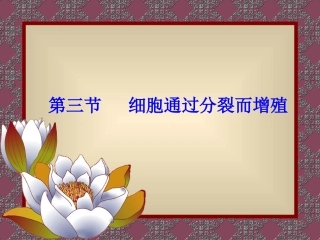 七年级生物上册细胞通过分裂而增殖4ppt
