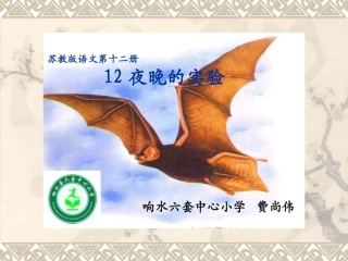 12夜晚的实验