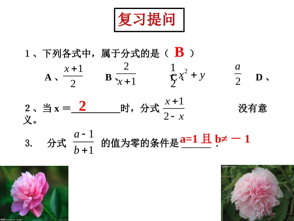分式的基本性质_第2页