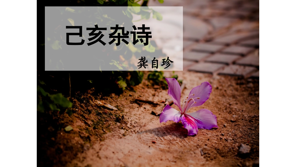 己亥杂诗(其五)-(3)_第1页