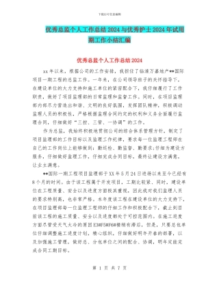 优秀总监个人工作总结2024与优秀护士2024年试用期工作小结汇编